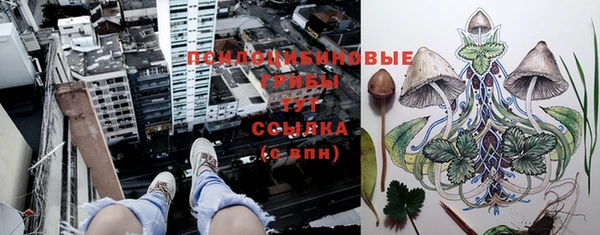 каннабис Медвежьегорск