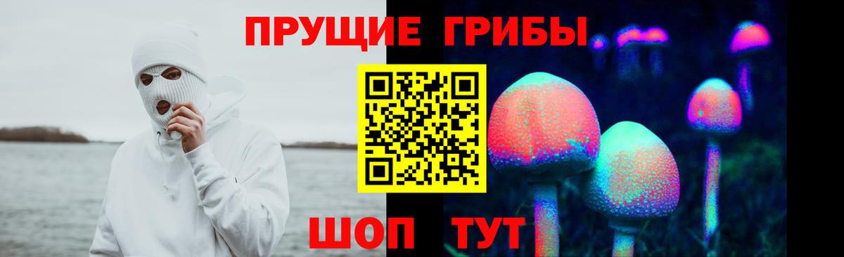 Тайшет  Псилоцибиновые грибы ЛСД  Вход с VPN 